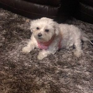 Meet your Posher, Meaghan